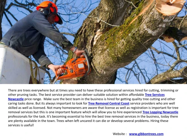 Tree Lopping Newcastle & Tree Services Central Coast