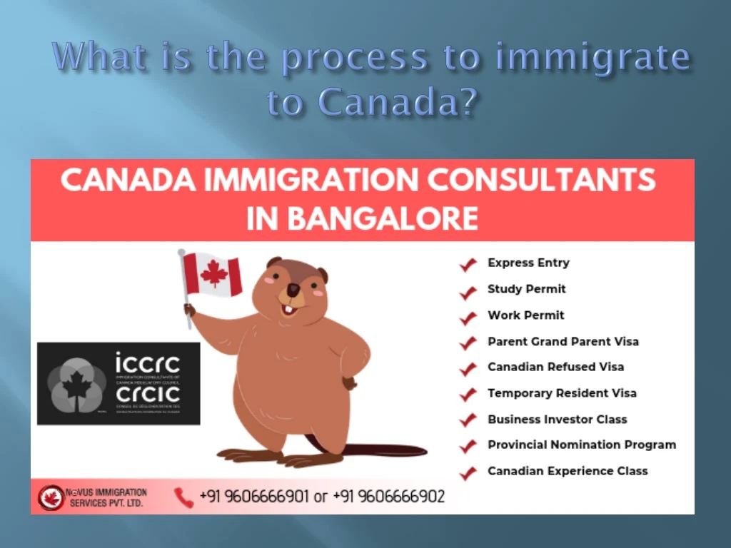 what is the process to immigrate to canada