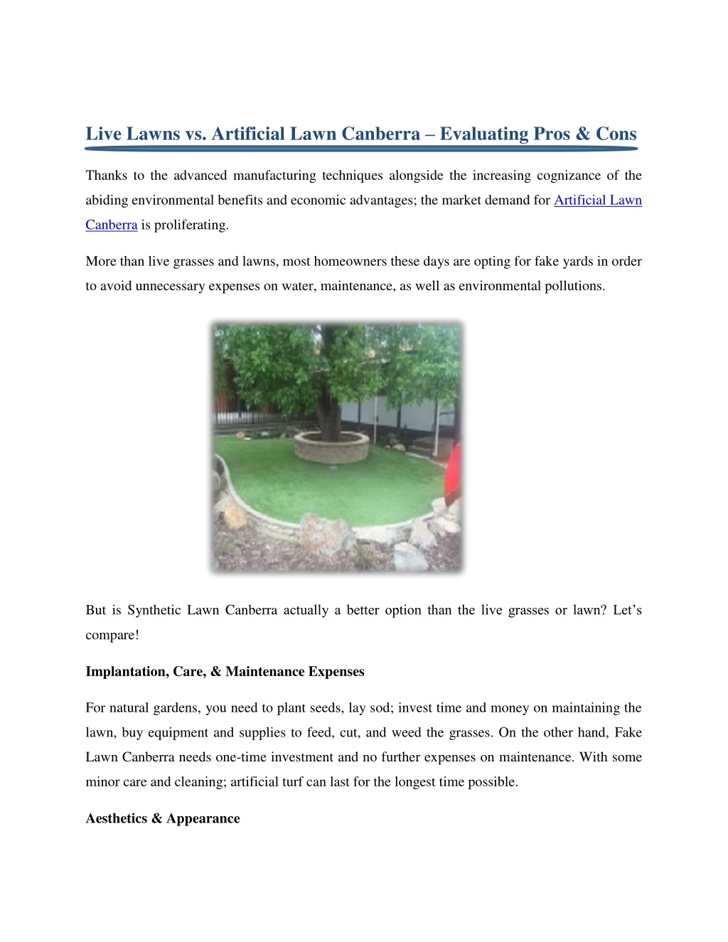 live lawns vs artificial lawn canberra evaluating