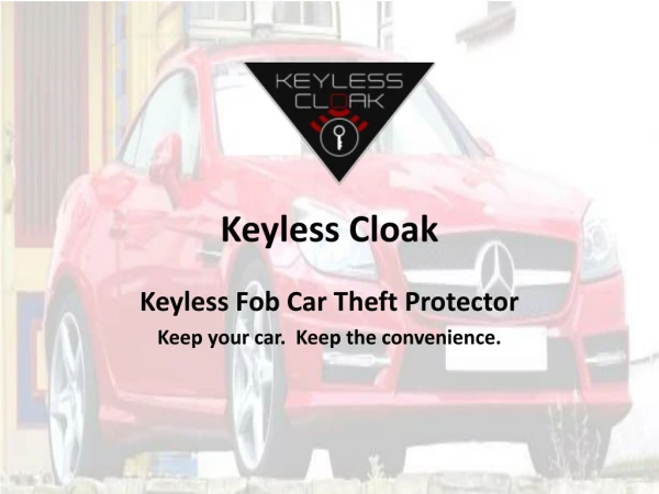 Keyless Fob Car Theft Protector