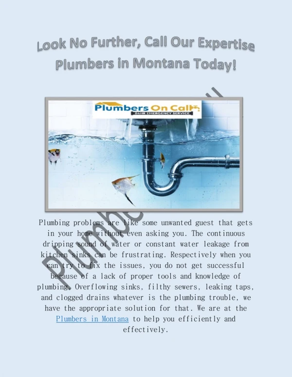 Plumbers-in-Montana-PDF