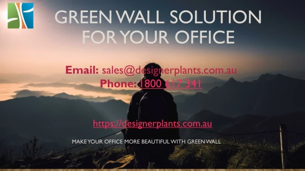 Green wall Services at low cost
