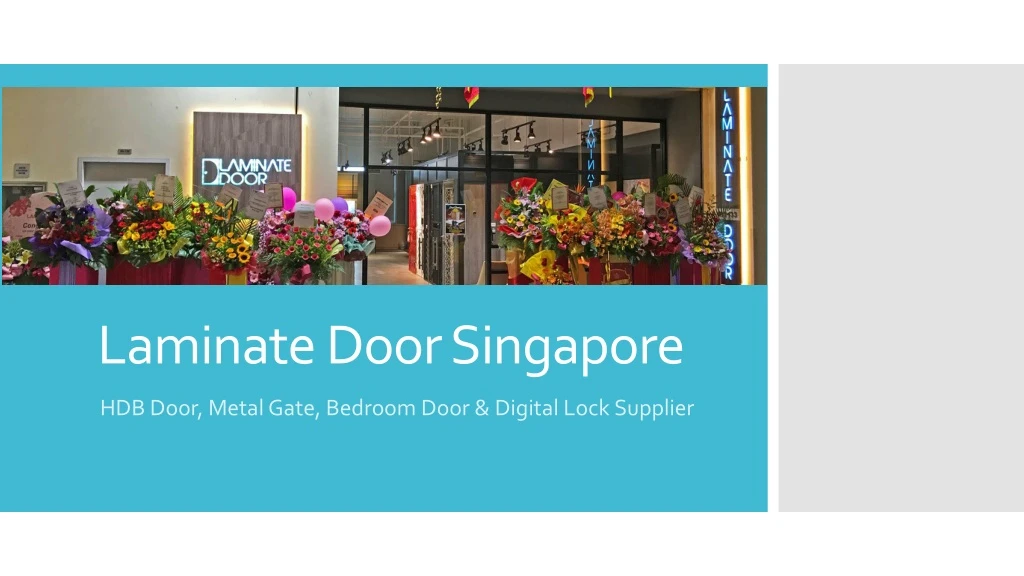 laminate door singapore