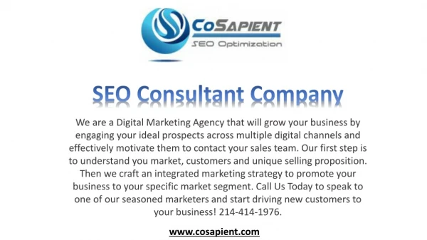 Seo Consultant Company Dallas