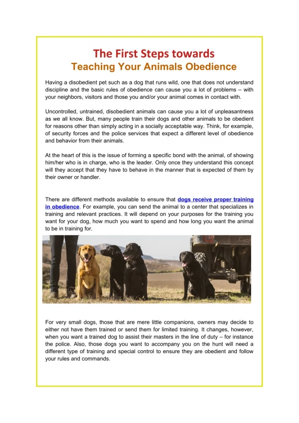 The First Steps towards Teaching Your Animals Obedience
