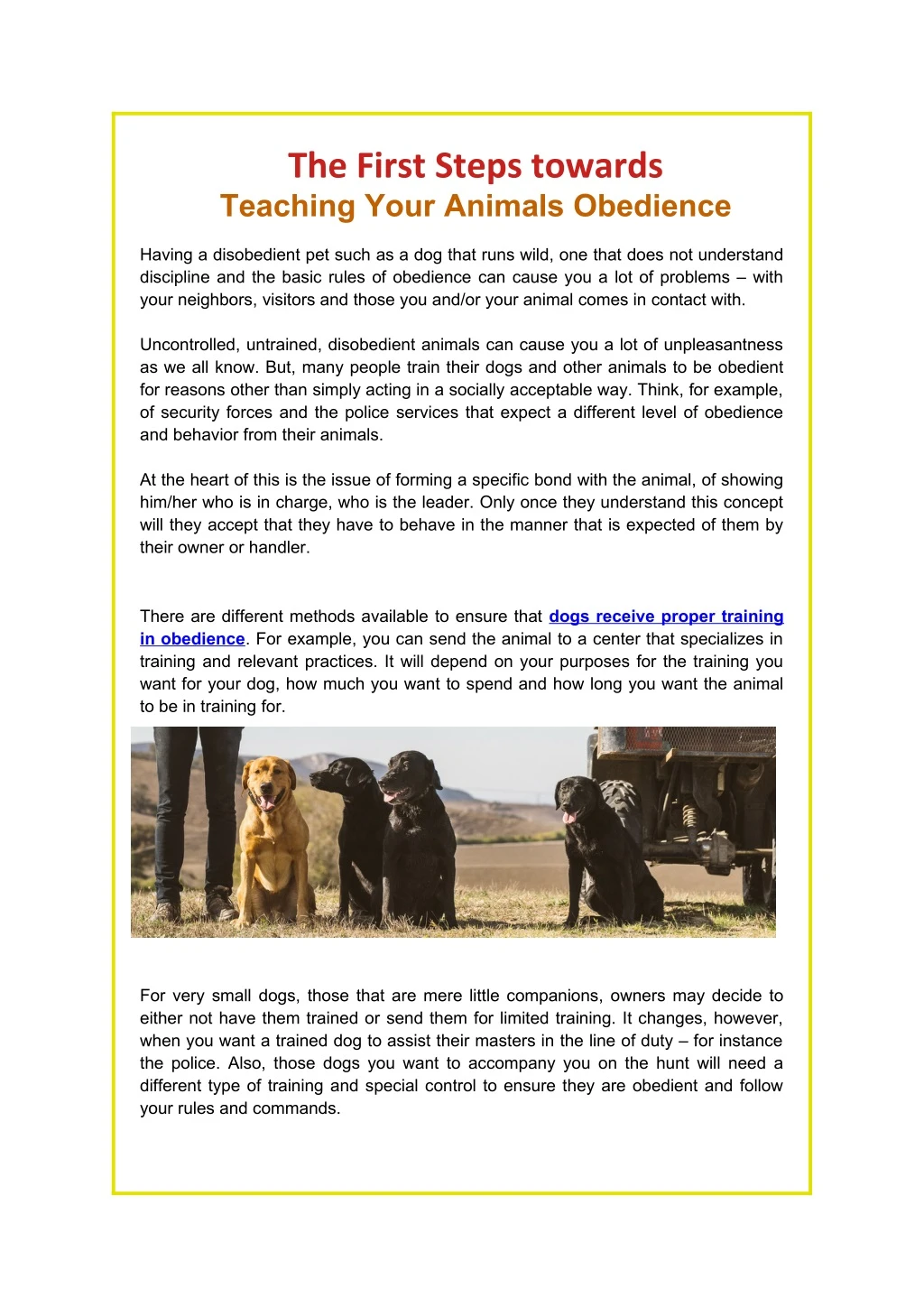 the first steps towards teaching your animals