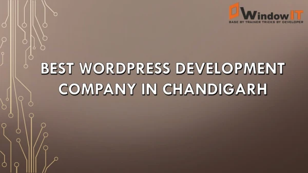 Best Web Designing Company in Chandigarh