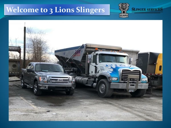 Welcome to 3 Lions Slingers