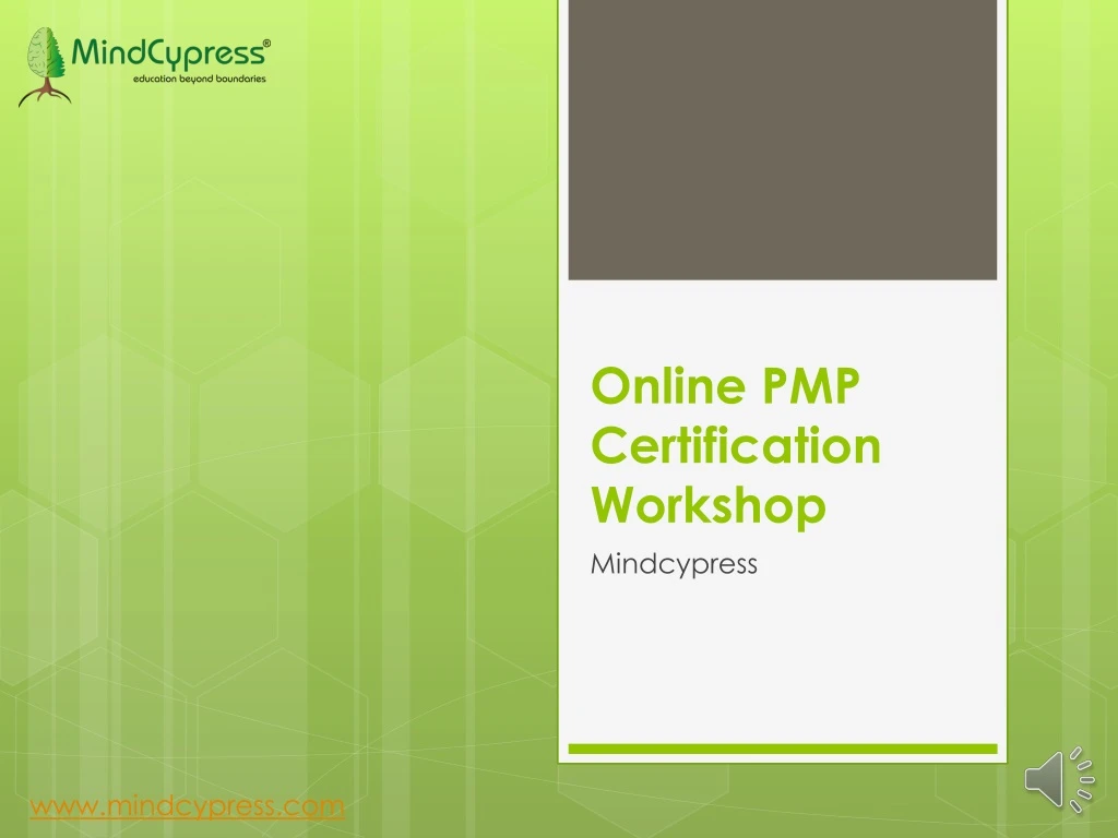 online pmp certification workshop