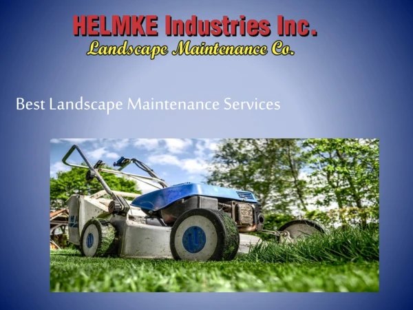 Best Landscape Maintenance Services