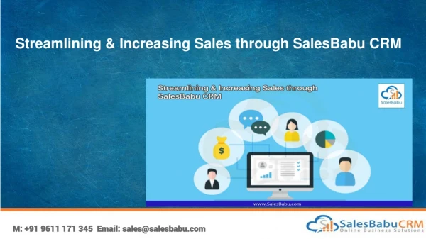 Streamlining & Increasing Sales through SalesBabu CRM
