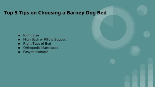 Details on Choosing a Barney Dog Bed