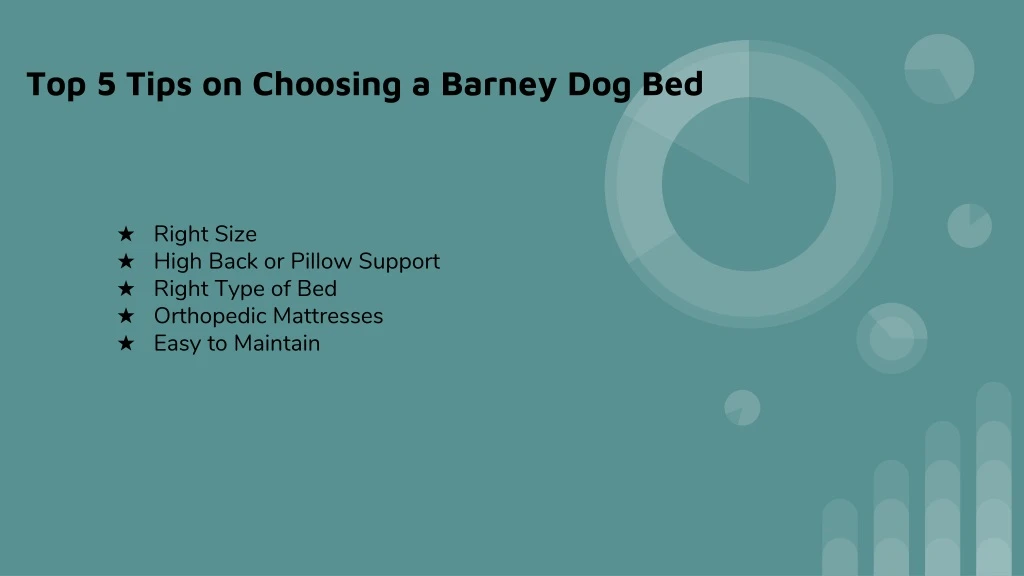top 5 tips on choosing a barney dog bed