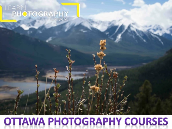 How to get career on photography| learn photography in Ottawa