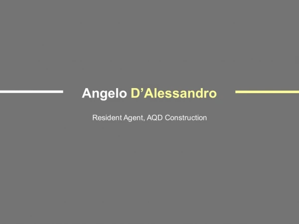 Angelo D’Alessandro - Possesses Exceptional Project Management Skills
