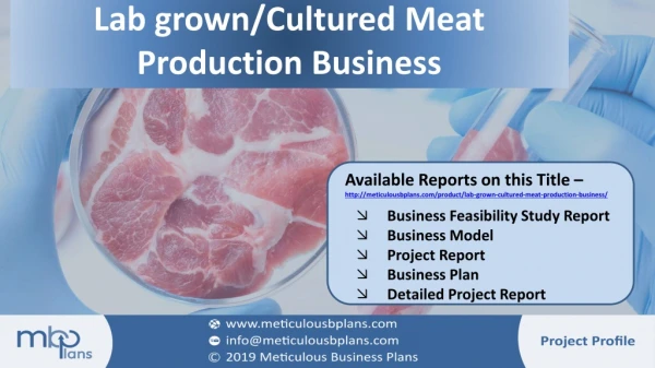 Lab grown/Cultured Meat Production Business