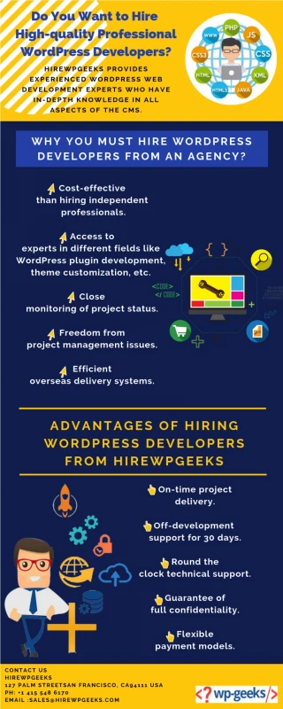 Hire High-Quality Professional WordPress Developers