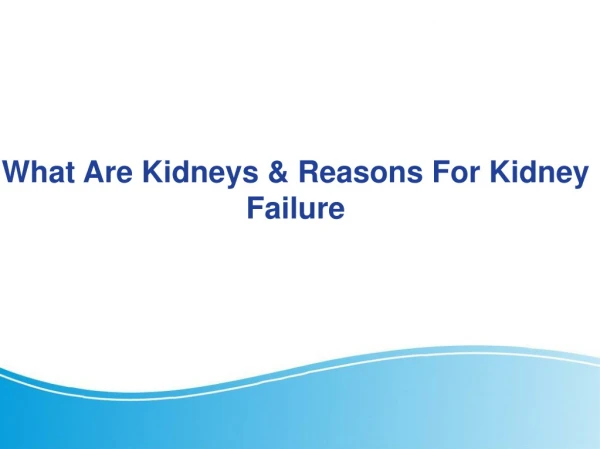 What Are Kidneys & Reasons For Kidney Failure