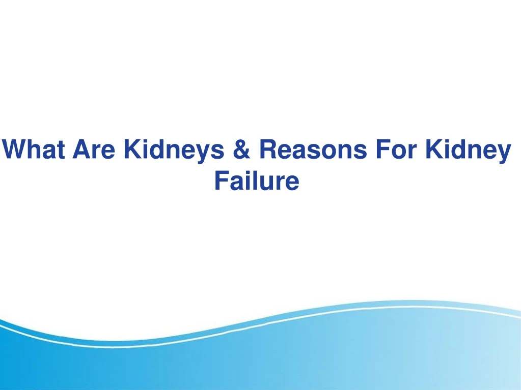 what are kidneys reasons for kidney failure