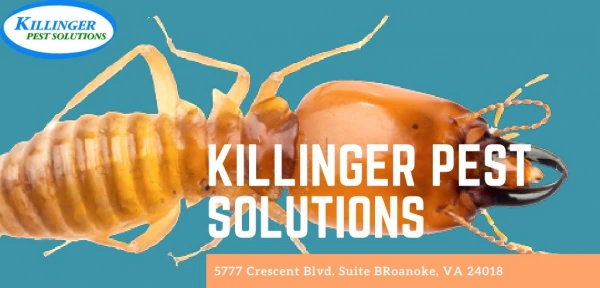Killinger Pest Solution