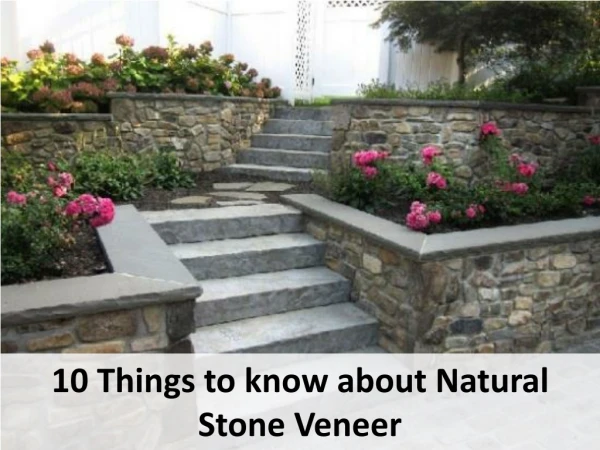 10 Things to know about Natural Stone Veneer