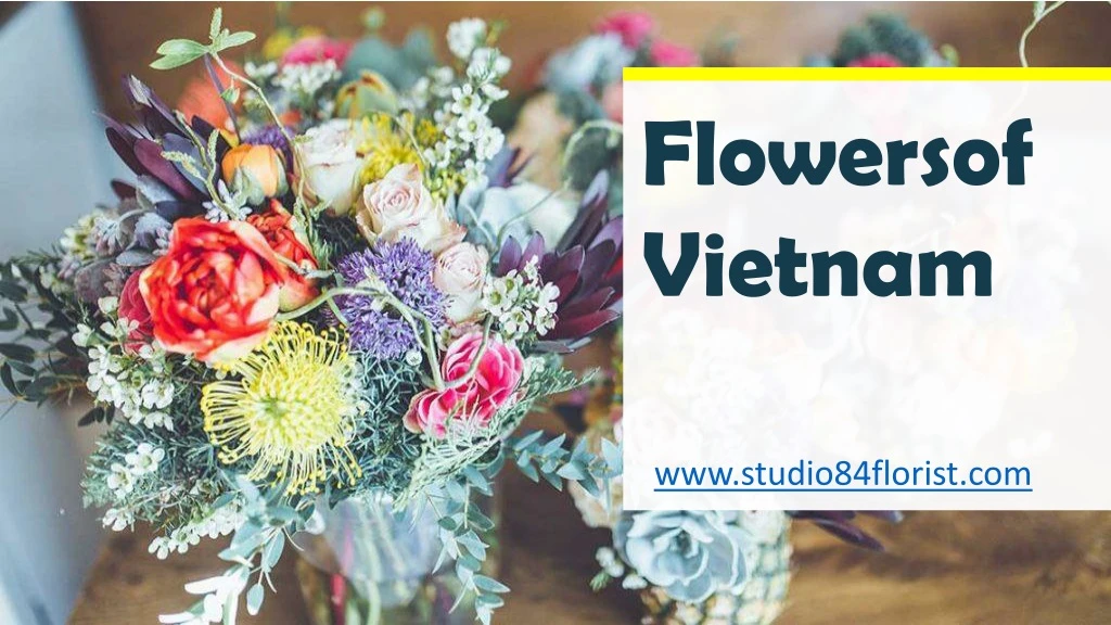 flowersof vietnam