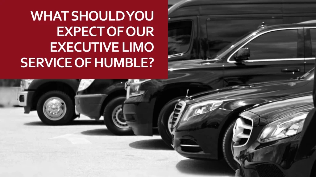 what should you expect of our executive limo service of humble