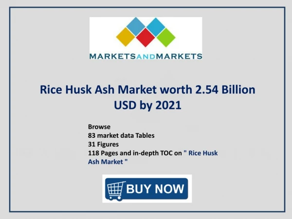 Significant Opportunities for Rice Husk Ash Market