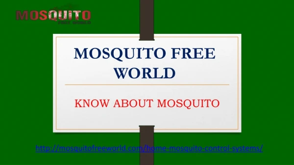 know about Mosquito