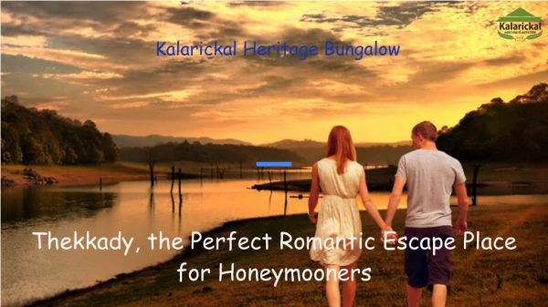 Thekkady, the Perfect Romantic Escape Place for Honeymooners