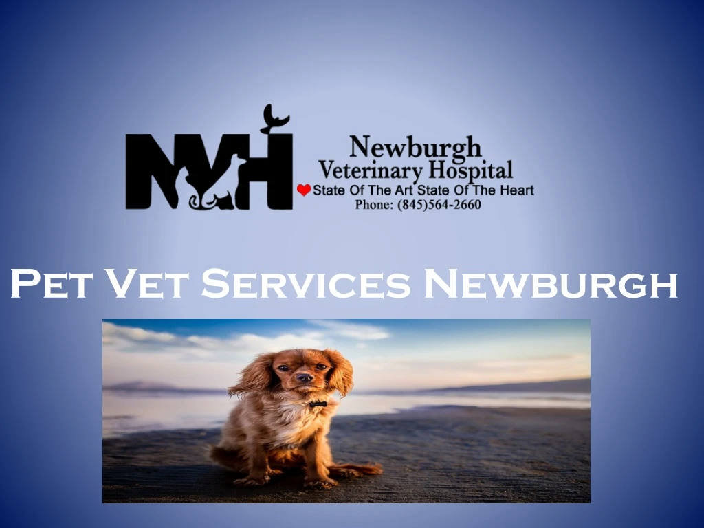 pet vet services newburgh