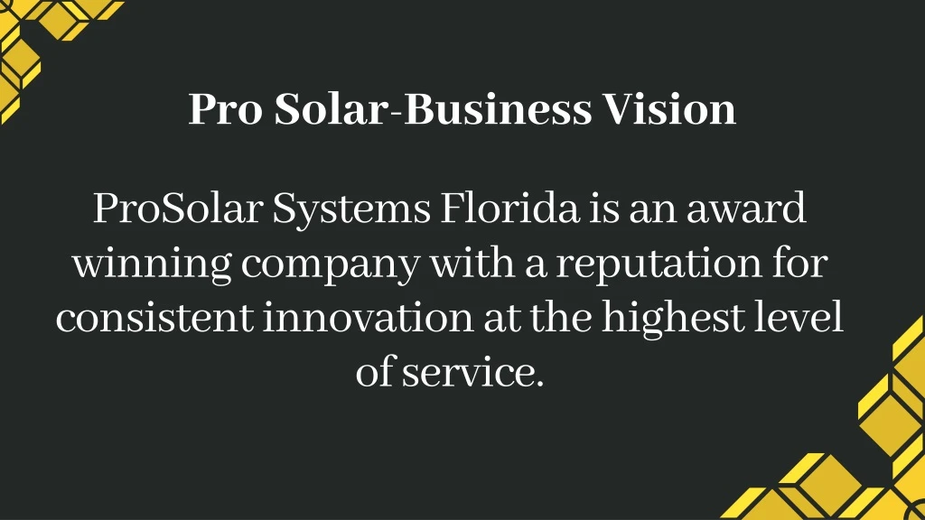 pro solar business vision