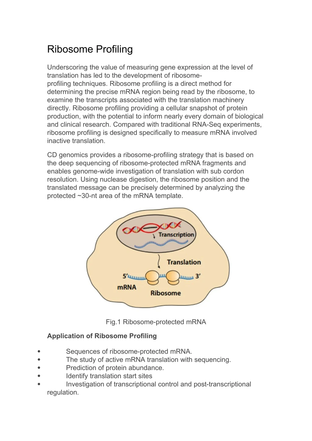 ribosome profiling