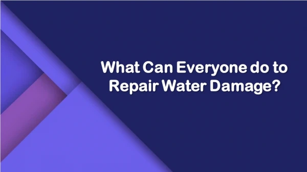 What Can Everyone do to Repair Water Damage?