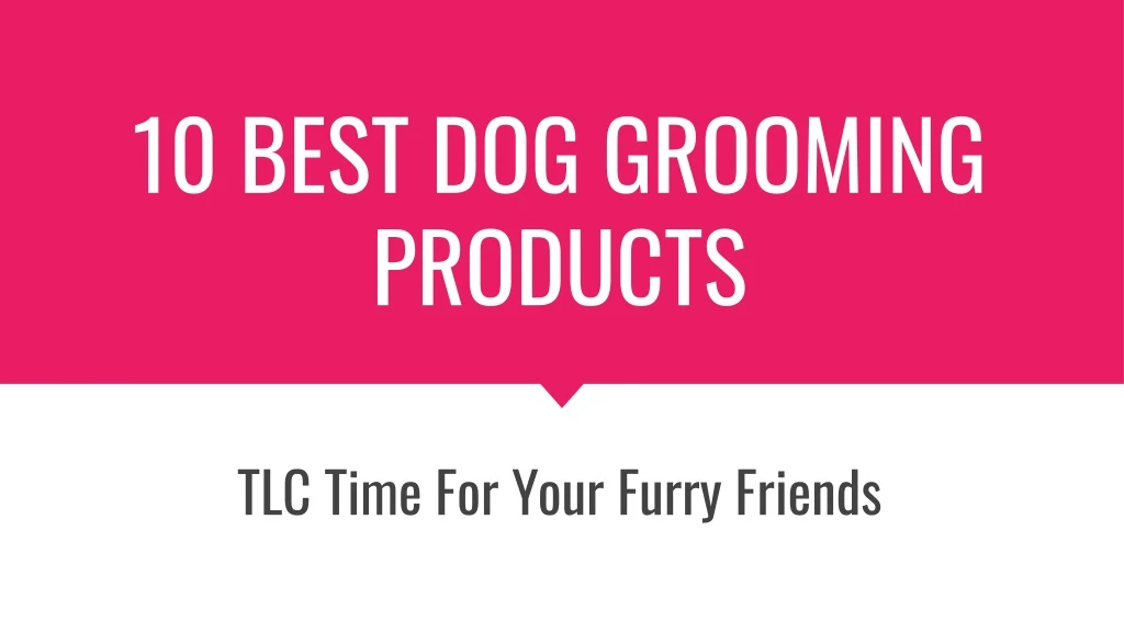 10 best dog grooming products