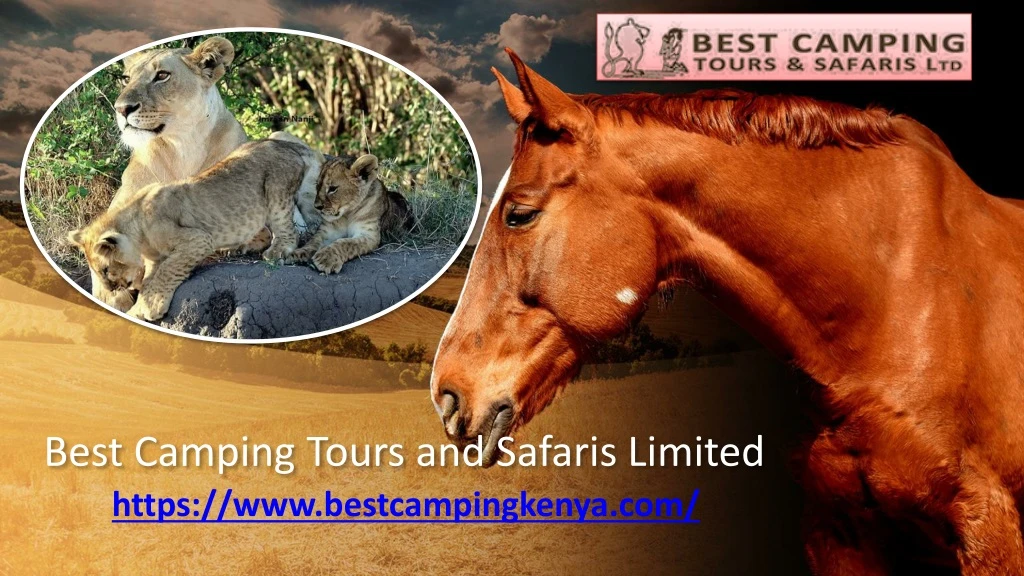best camping tours and safaris limited https