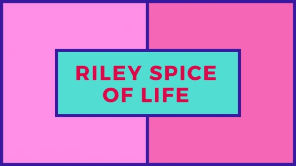 Salsa Seasoning Mix- Riley Spice Of Life