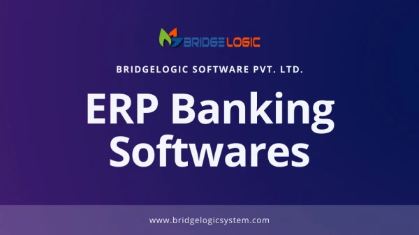 Get Custom ERP Banking Software Solutions from BridgeLogic