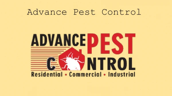 Advance Pest Control Services