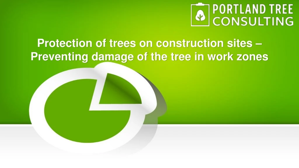 protection of trees on construction sites preventing damage of the tree in work zones
