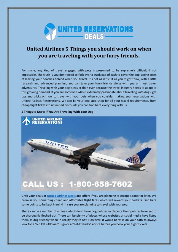 United Airlines Official Site | United Airlines Reservations & Deals