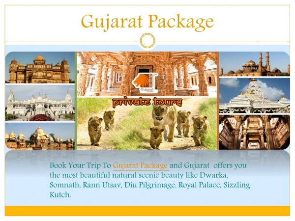 Gujarat Package