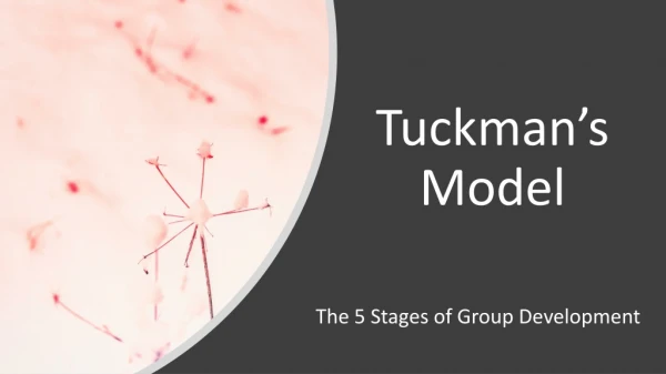 Tuckman's Model: 5 Stages of Team Development