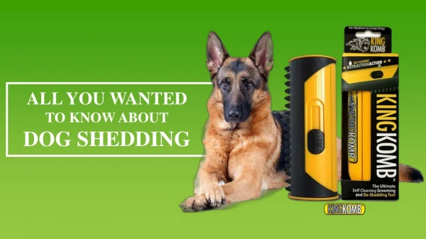 Why Should You Use a Dog De-Shedder to Handle Dog Shedding
