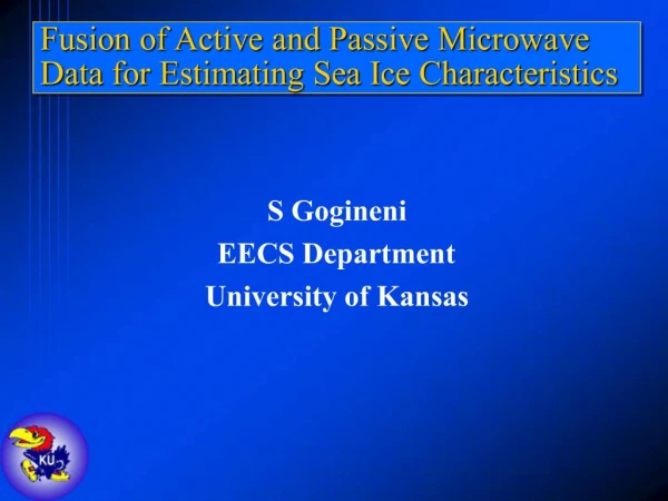Fusion of Active and Passive Microwave Data for Estimating Sea Ice Characteristics