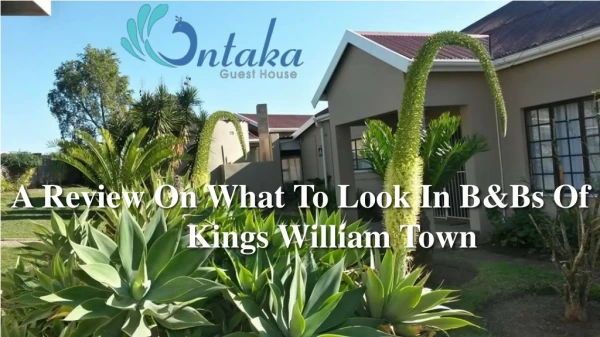 A Review on What To Look in B&Bs Of Kings William Town