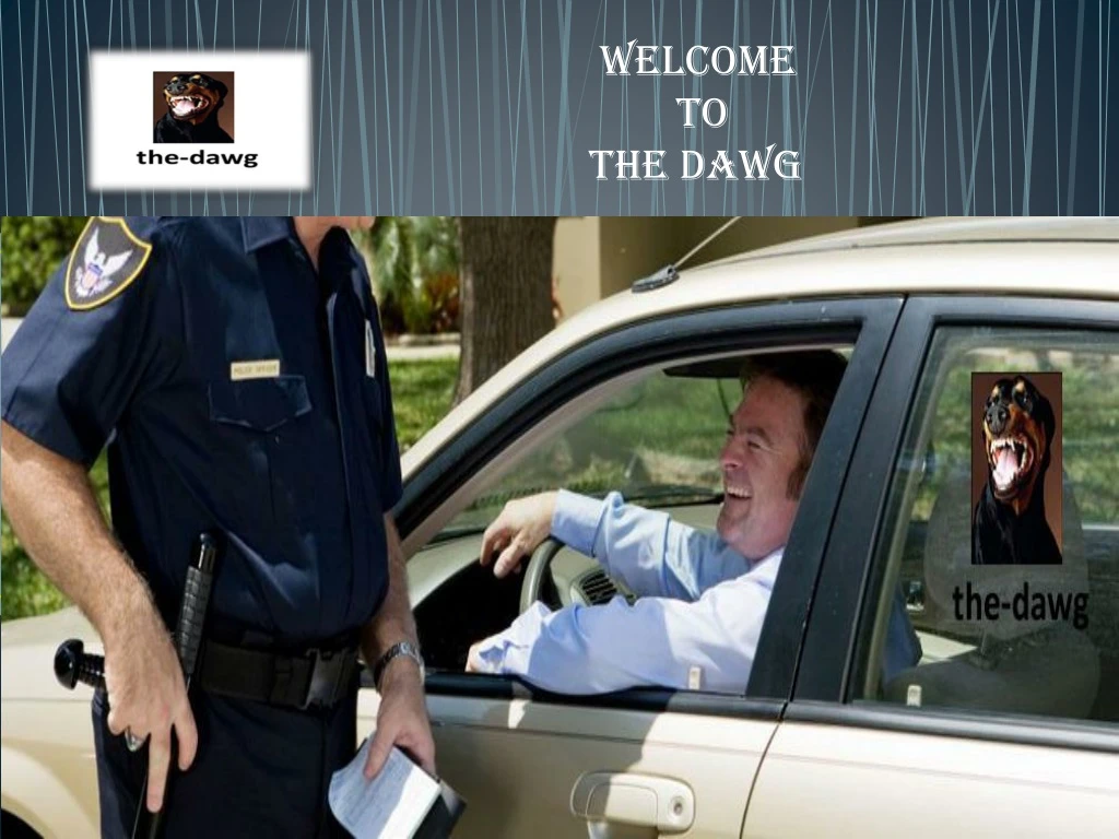 welcome to the dawg