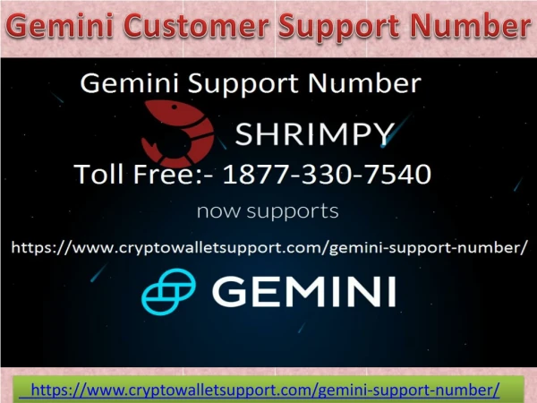 Get technical help from Gemini password reset number.