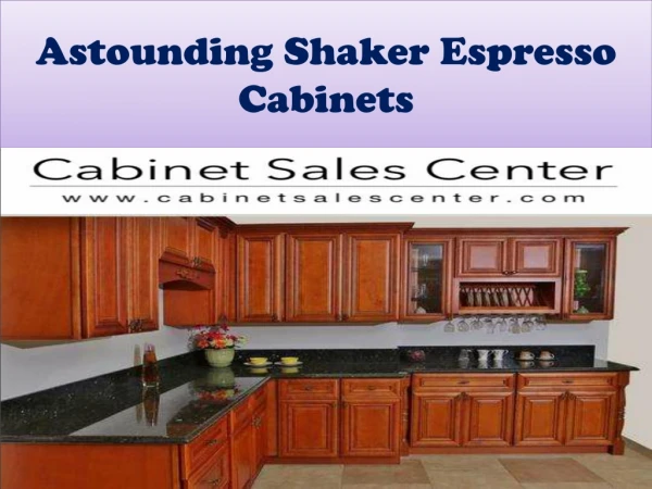 Astounding Shaker Espresso cabinets