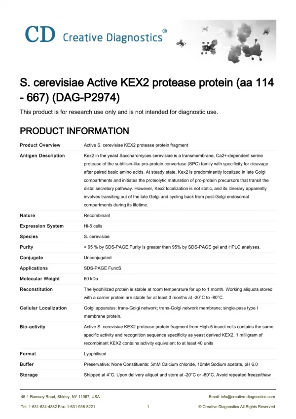 kex2 protease